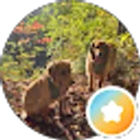 Google profile photo for Patrizia Vandenbogerd